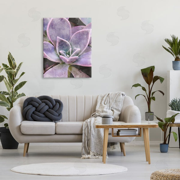 Stupell Industries Stupell Studio | Purple Succulent Close Up Wall Art