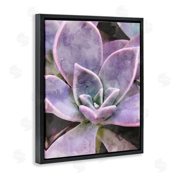 Stupell Industries Stupell Studio | Purple Succulent Close Up Wall Art