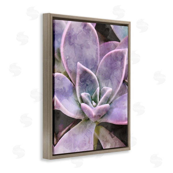Stupell Industries Stupell Studio | Purple Succulent Close Up Wall Art