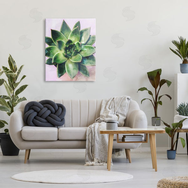 Stupell Industries Stupell Studio | Round Succulent Plant Leaves Wall Art