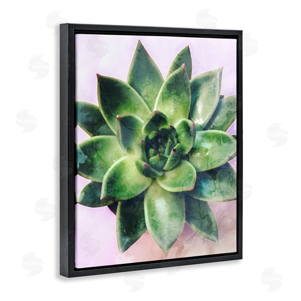 Stupell Industries Stupell Studio | Round Succulent Plant Leaves Wall Art