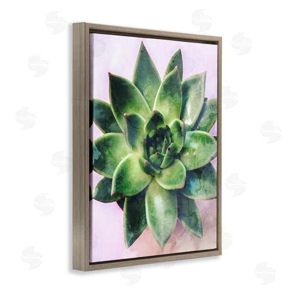Stupell Industries Stupell Studio | Round Succulent Plant Leaves Wall Art