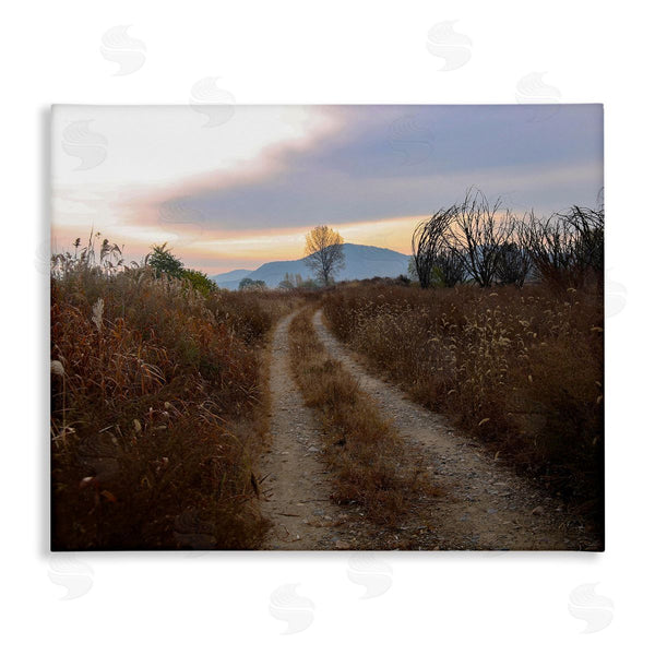stupell industries Stupell Studio | Rural Trail Landscape Wall Art
