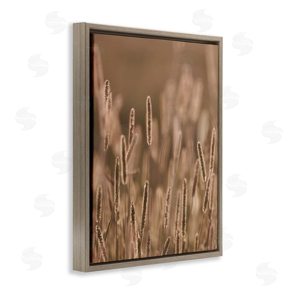 Stupell Industries Stupell Studio | Rural Wheat Field Nature Wall Art