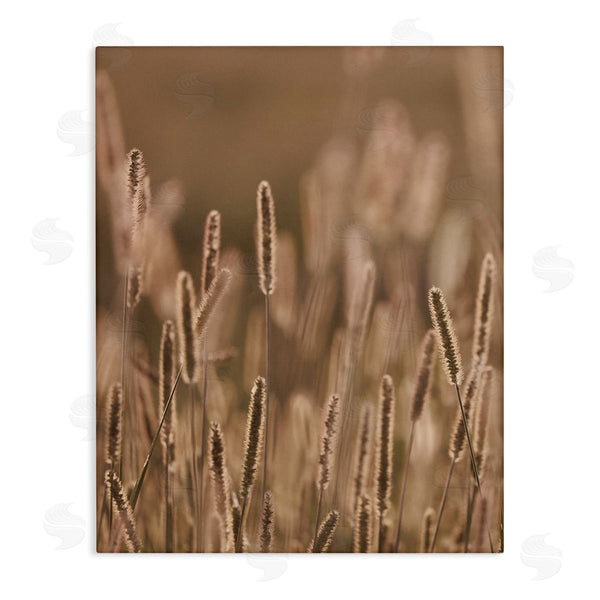 stupell industries Stupell Studio | Rural Wheat Field Nature Wall Art