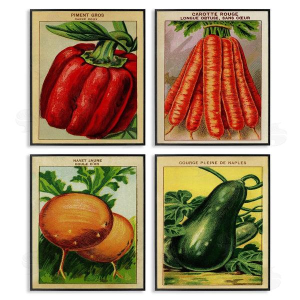Stupell Industries Stupell Studio | Rustic Garden Vegetables Wall Art