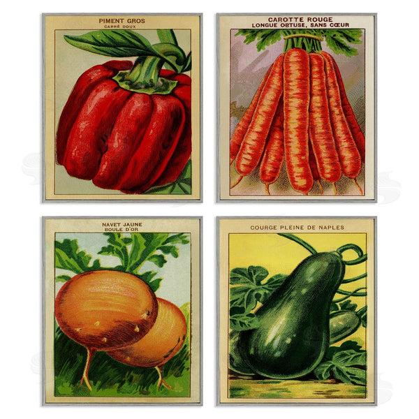 Stupell Industries Stupell Studio | Rustic Garden Vegetables Wall Art