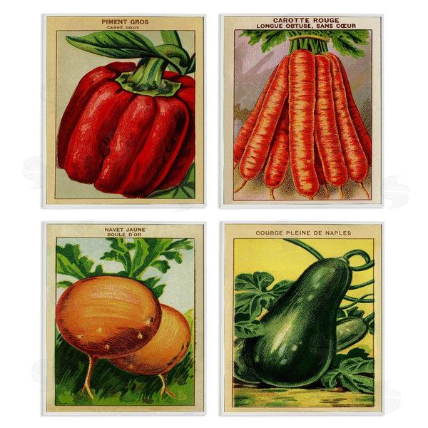 Stupell Industries Stupell Studio | Rustic Garden Vegetables Wall Art