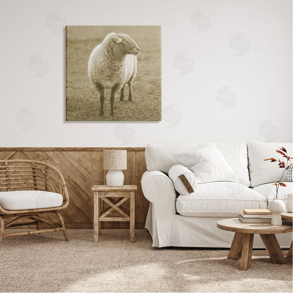 Stupell Industries Stupell Studio | Sheep Grazing Farmland Photography Wall Art