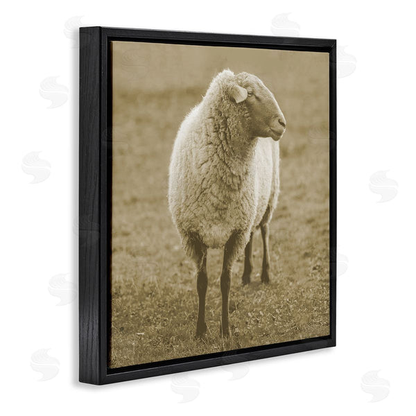 Stupell Industries Stupell Studio | Sheep Grazing Farmland Photography Wall Art