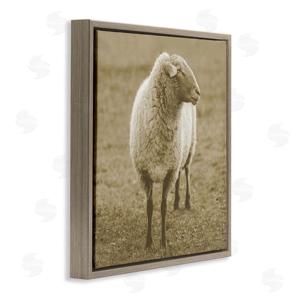 Stupell Industries Stupell Studio | Sheep Grazing Farmland Photography Wall Art