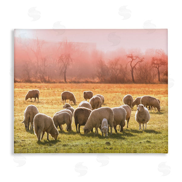 stupell industries Stupell Studio | Sheep Herd Grazing Warm Pink Sunset Rural Grassland Wall Art
