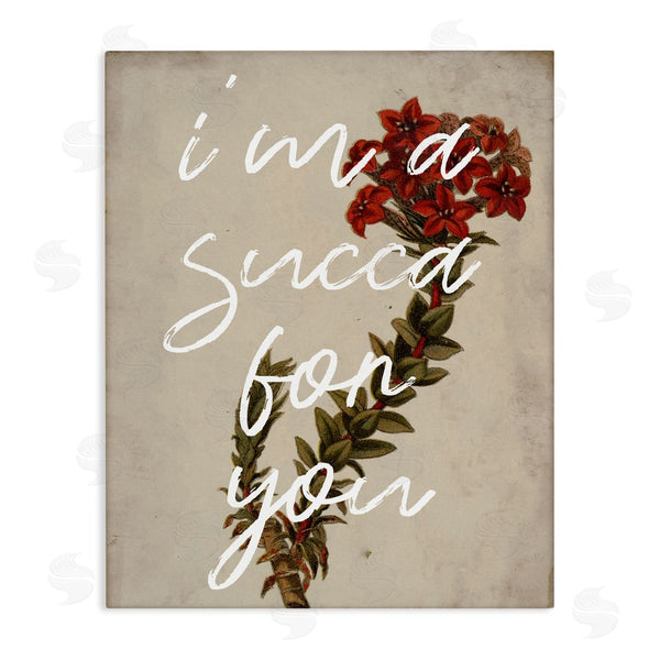 stupell industries Stupell Studio | Succa For You Romantic Witty Plant Humor Phrase Wall Art