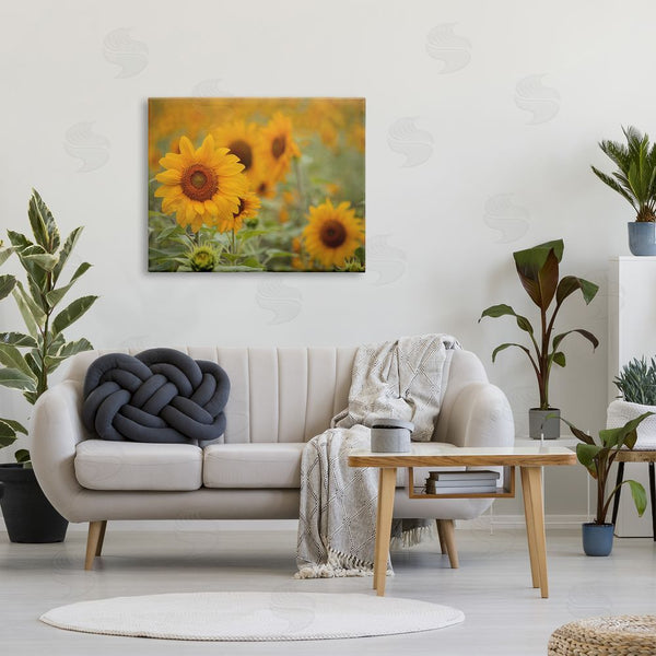 Stupell Industries Stupell Studio | Sunflower Field Nature Blooms Wall Art