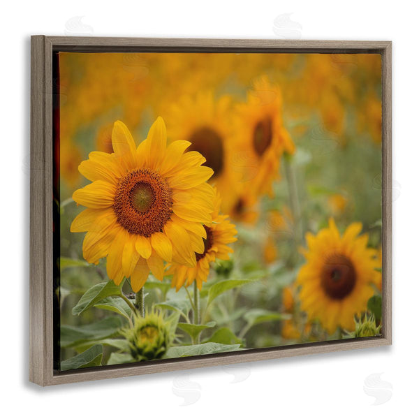 Stupell Industries Stupell Studio | Sunflower Field Nature Blooms Wall Art