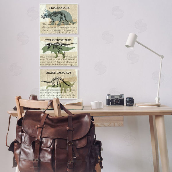 Stupell Industries Stupell Studio | Textbook Style Dinosaur Skeletons Wall Art
