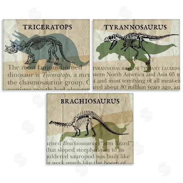 stupell industries Stupell Studio | Textbook Style Dinosaur Skeletons Wall Art