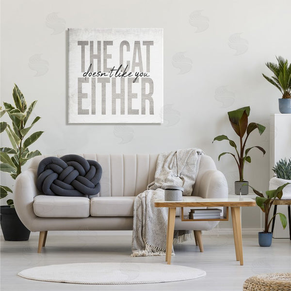 Stupell Industries Stupell Studio | The Cat Doesn't Like You Either Pet Phrase Wall Art