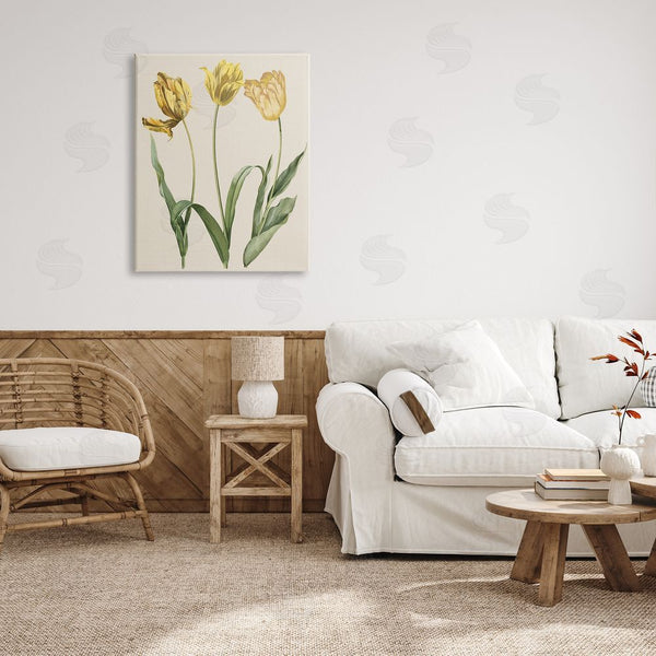 Stupell Industries Stupell Studio | Three Tulip Sprigs Wall Art