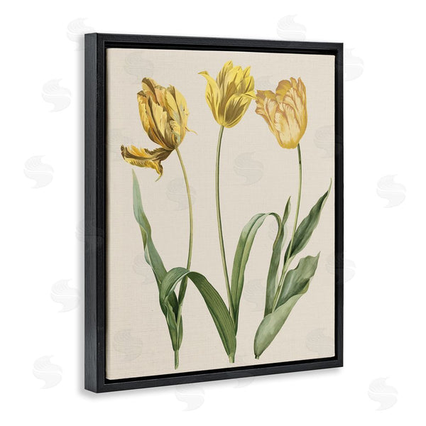 Stupell Industries Stupell Studio | Three Tulip Sprigs Wall Art