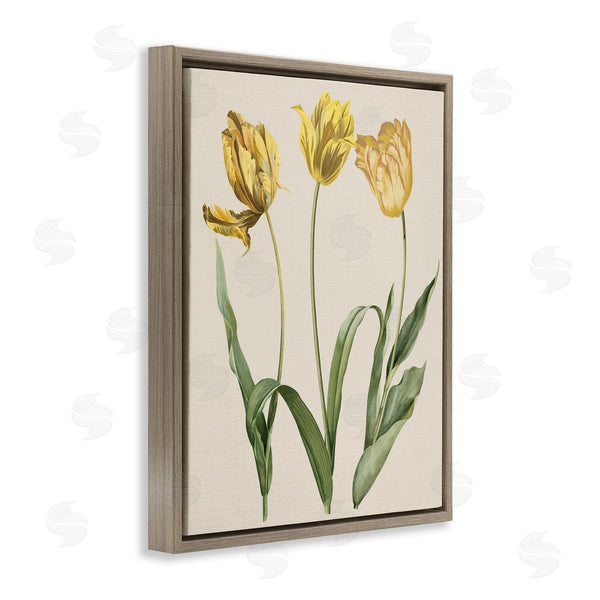 Stupell Industries Stupell Studio | Three Tulip Sprigs Wall Art