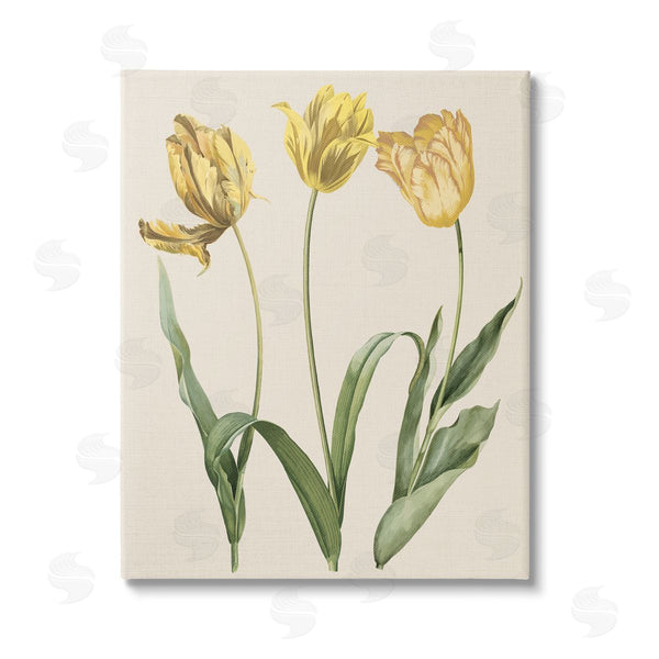stupell industries Stupell Studio | Three Tulip Sprigs Wall Art
