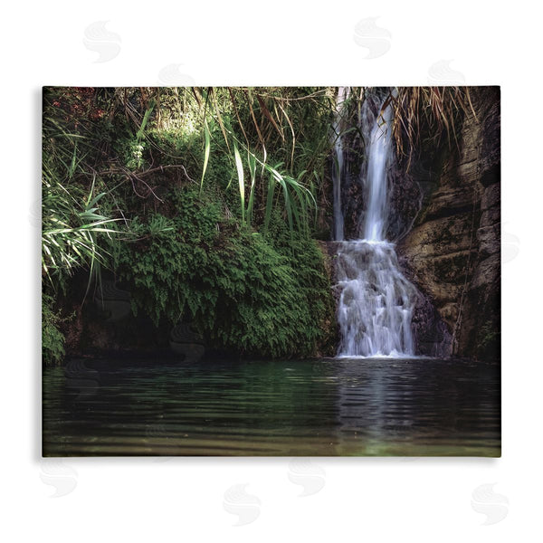 stupell industries Stupell Studio | Tranquil Waterfall Rainforest Environment Nature Clearing Photography Wall Art