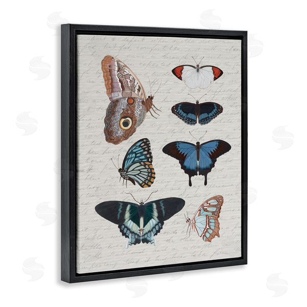 Stupell Industries Stupell Studio | Various Vintage Butterflies