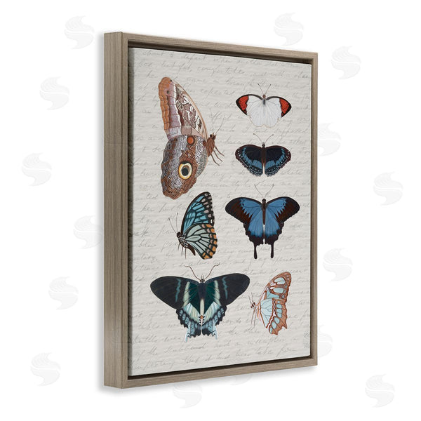 Stupell Industries Stupell Studio | Various Vintage Butterflies