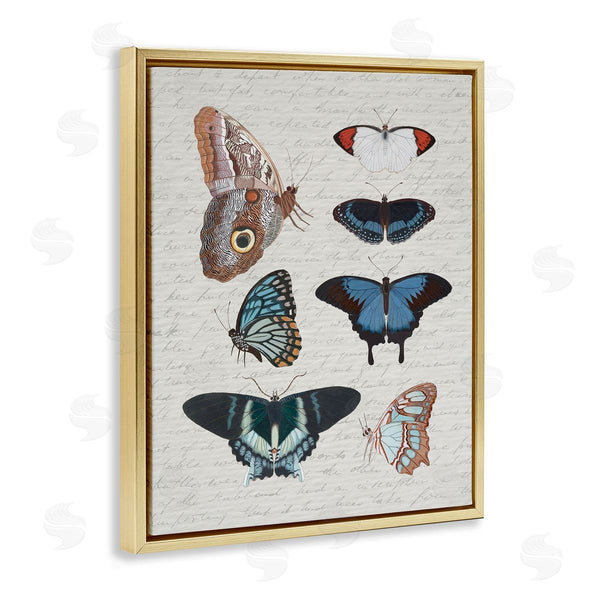 Stupell Industries Stupell Studio | Various Vintage Butterflies