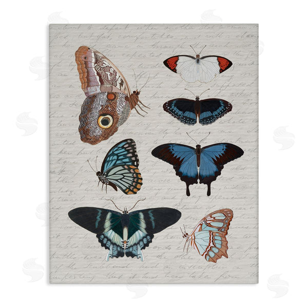 stupell industries Stupell Studio | Various Vintage Butterflies
