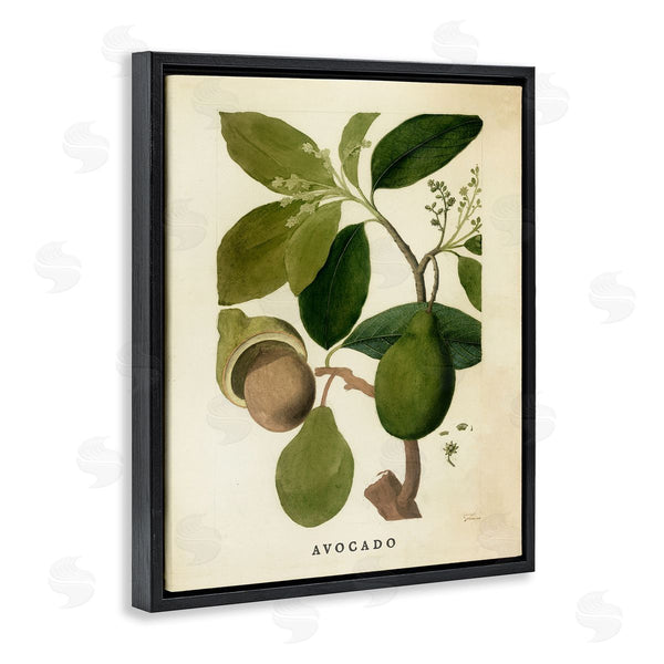 Stupell Industries Stupell Studio | Vintage Avocado Plant