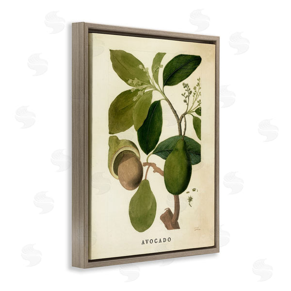 Stupell Industries Stupell Studio | Vintage Avocado Plant