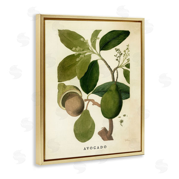 Stupell Industries Stupell Studio | Vintage Avocado Plant