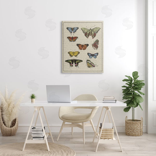 Stupell Industries Stupell Studio | Vintage Butterfly Study Over Muted Cursive Script Wall Art