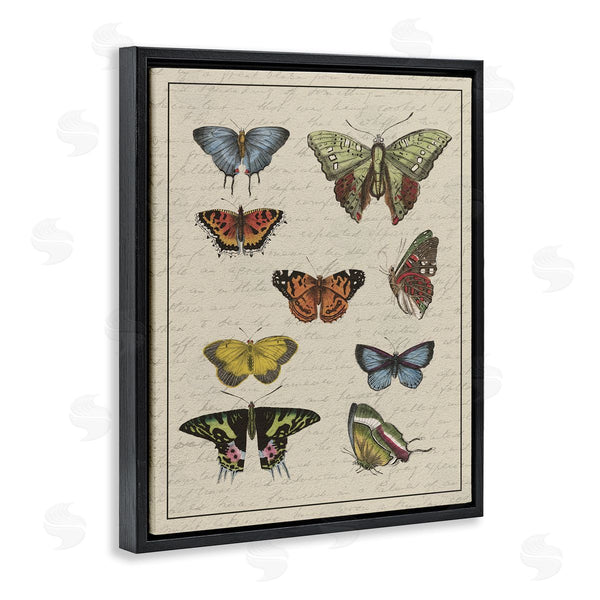 Stupell Industries Stupell Studio | Vintage Butterfly Study Over Muted Cursive Script Wall Art