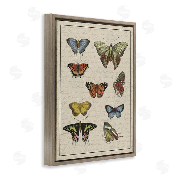 Stupell Industries Stupell Studio | Vintage Butterfly Study Over Muted Cursive Script Wall Art