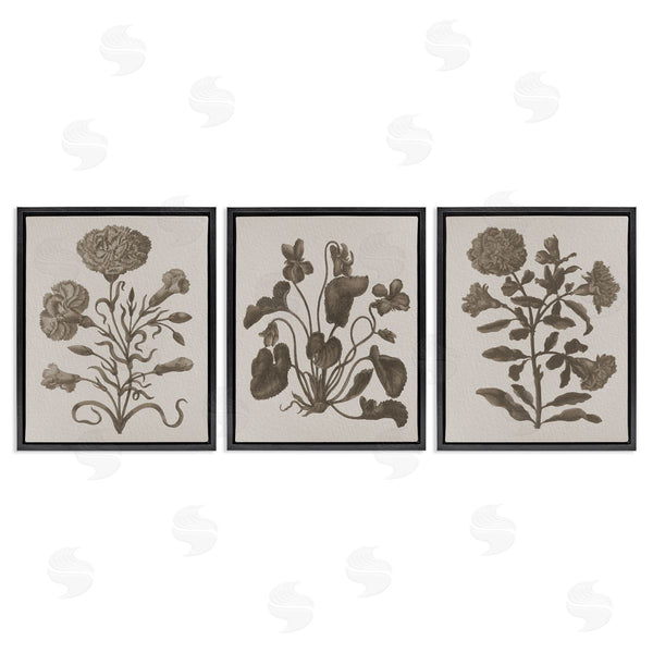 Stupell Industries Stupell Studio | Vintage Country Botanicals Wall Art