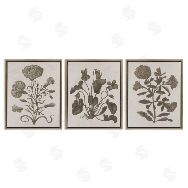 Stupell Industries Stupell Studio | Vintage Country Botanicals Wall Art