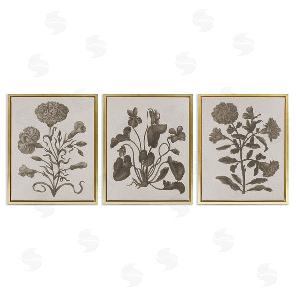 Stupell Industries Stupell Studio | Vintage Country Botanicals Wall Art