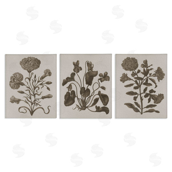 stupell industries Stupell Studio | Vintage Country Botanicals Wall Art