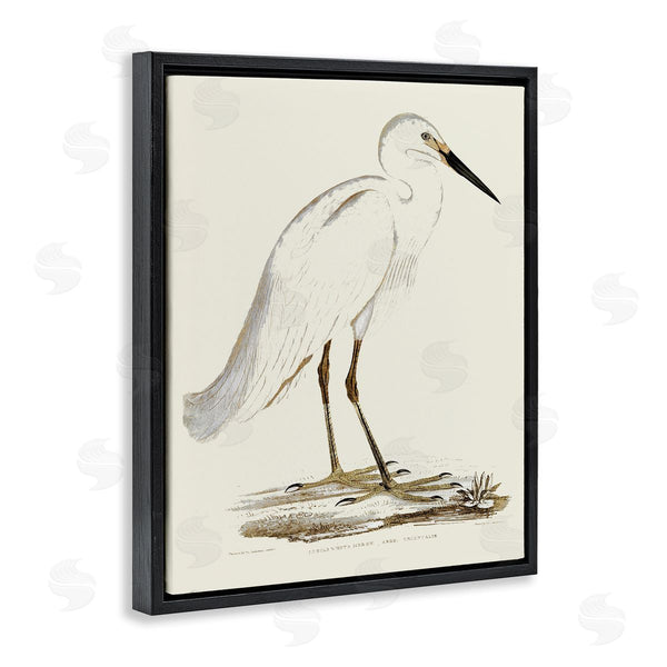 Stupell Industries Stupell Studio | Vintage Egret Latin Study Marsh Bird Illustration Wall Art