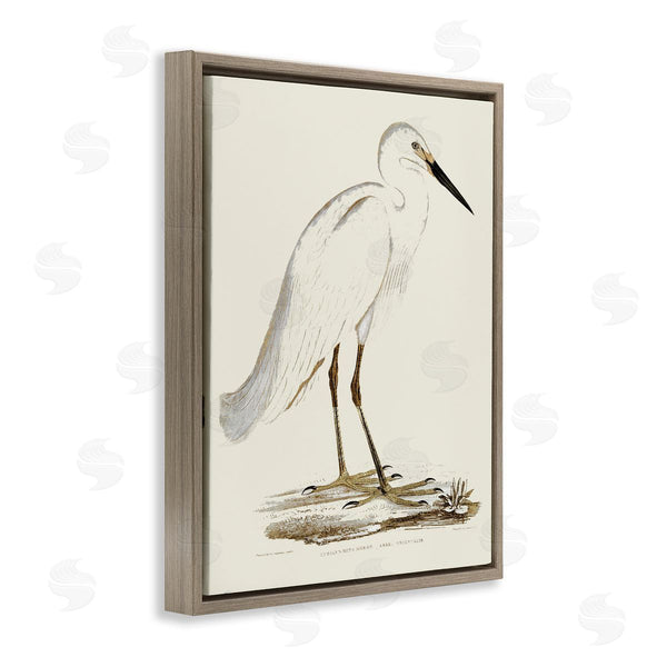 Stupell Industries Stupell Studio | Vintage Egret Latin Study Marsh Bird Illustration Wall Art
