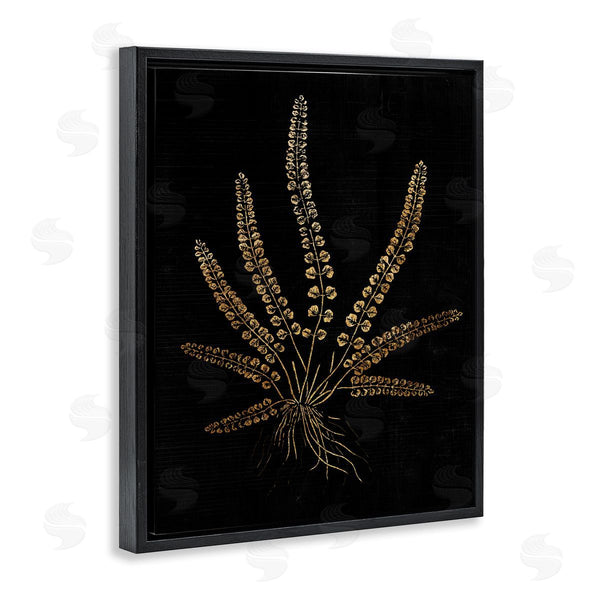 Stupell Industries Stupell Studio | Vintage Fern Blades Rooted Forest Plant Illustration Wall Art