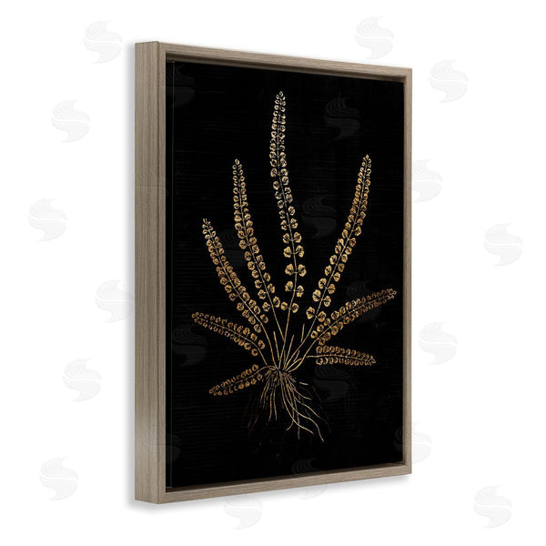 Stupell Industries Stupell Studio | Vintage Fern Blades Rooted Forest Plant Illustration Wall Art
