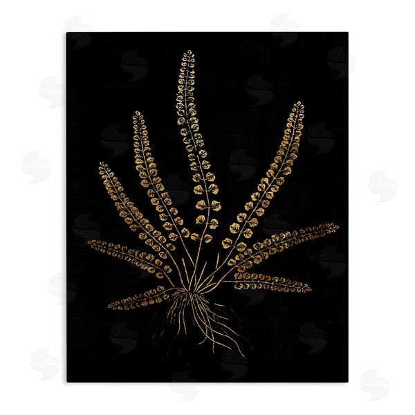 stupell industries Stupell Studio | Vintage Fern Blades Rooted Forest Plant Illustration Wall Art