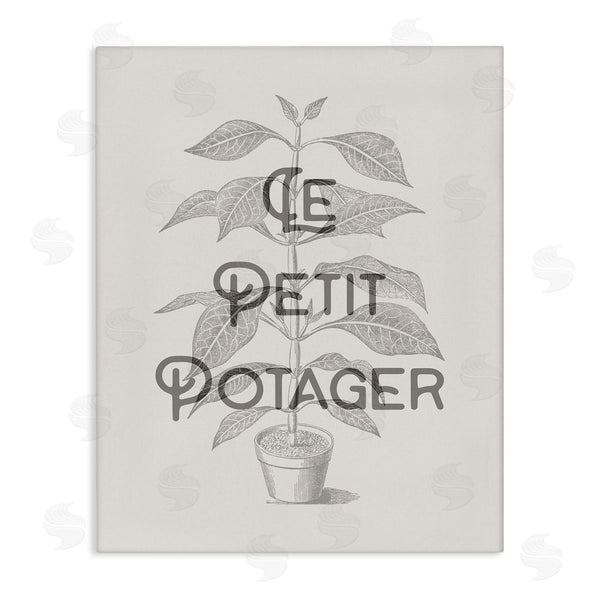 stupell industries Stupell Studio | Vintage French Plant Phrase
