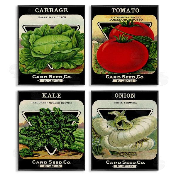 Stupell Industries Stupell Studio | Vintage Garden Cabbage Wall Art