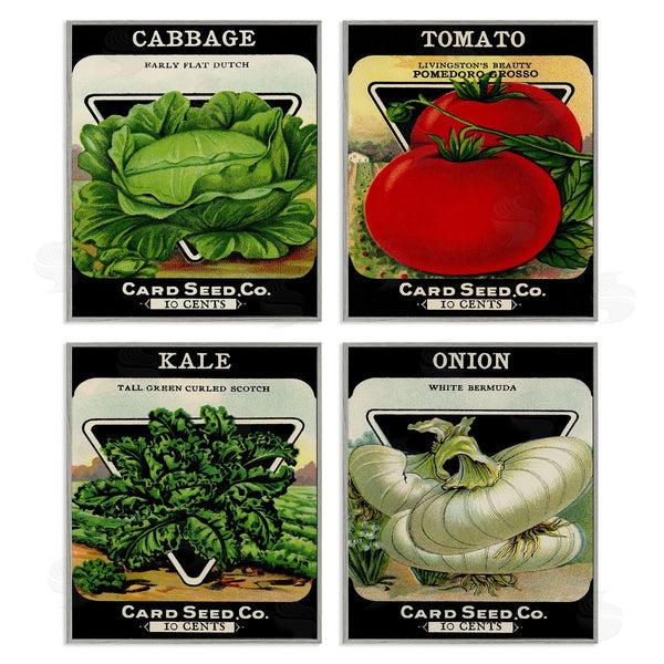 Stupell Industries Stupell Studio | Vintage Garden Cabbage Wall Art
