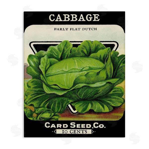 stupell industries Stupell Studio | Vintage Garden Cabbage Wall Art